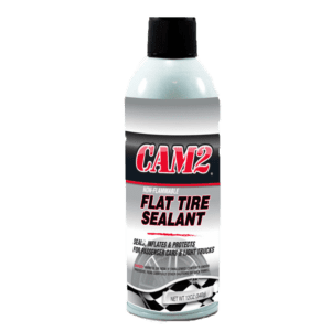 CAM2 CARB & FUEL INJECTOR CLEANER - CAM2