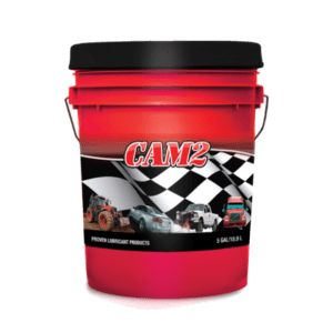 CAM2
