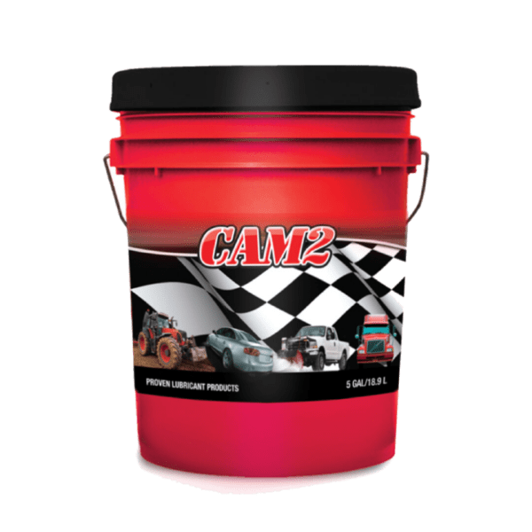 CAM2