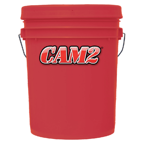 CAM2